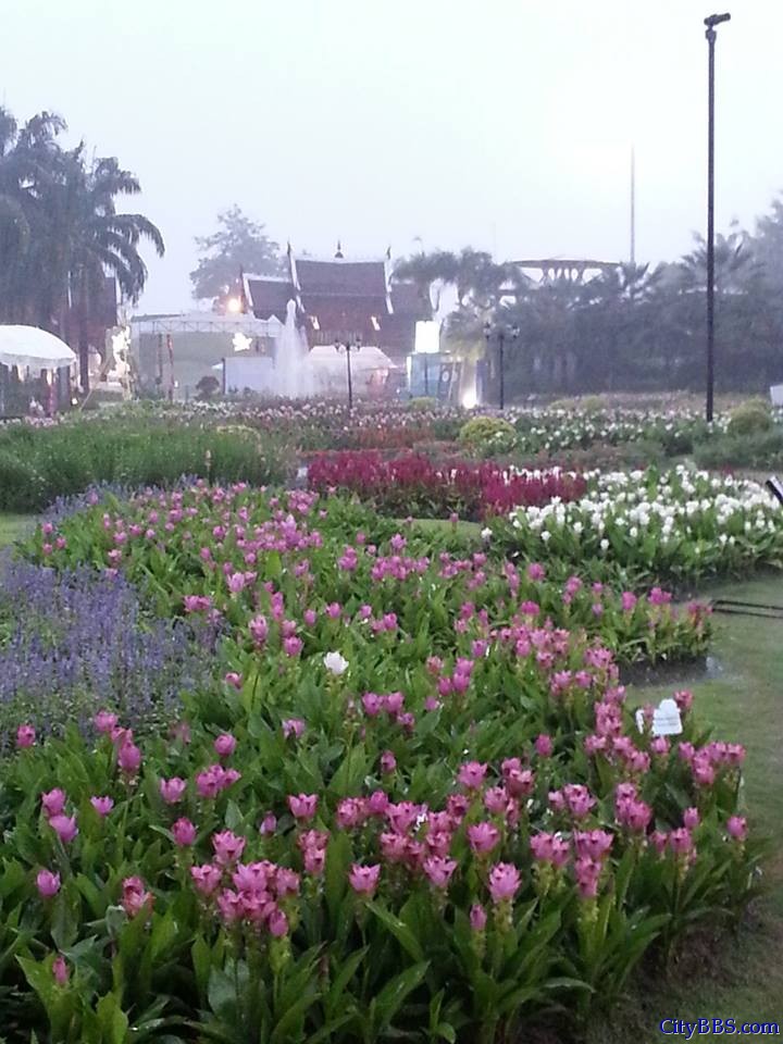 清迈旅游风情_Chiang Mai Travel