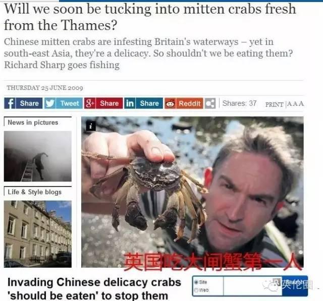 看看武装到牙齿的中国大闸蟹如何逼疯外国人7.jpg