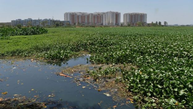 全球这11个大城市将遭遇饮用水枯竭 有你那吗
