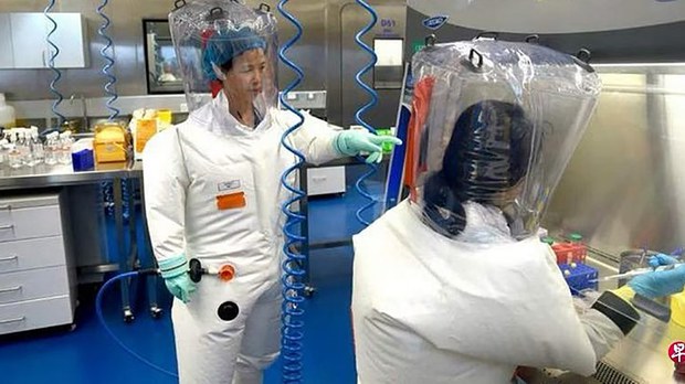 中国知名病毒学家、武汉病毒研究所专家石正丽